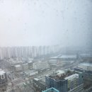 참(charm)행정사 사무소 이미지