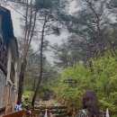 마운틴밸리휴펜션1 이미지