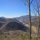 삼밭골목장 이미지