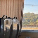 굴다리우리통닭 | 멀어진 것들에 대하여