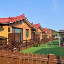 헬퍼독 애견펜션 이미지