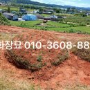 진안산소 이미지