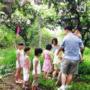 사슴이랑 배랑 농원 이미지