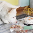 도기키친 프롬제주 이미지