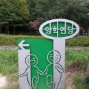 양학연당(양학저수지) | [포항여행] 만개하는 코스모스 양학연당