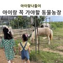 행복나눔농장 | 파주 나눔농장, 아이랑 동물 먹이주기 체험(아기랑 가볼만한곳)