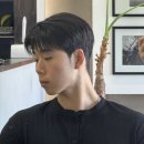 피아트헤어