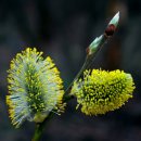 소리민박 이미지