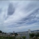 산림행정사사무소 이미지