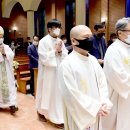 시그니스 이미지