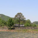 민영유통 - 천안시 동남구 | 조선 후기 농업·상업·수공업·광업의 발달 : 다 볼 필요 없다. 핵심 키워드 10으로 끝