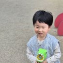 은호의 주말이야기 이미지