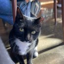 문산읍 | 진주 카페 9월의 봄 후기｜문산읍 감성 가득한 시골카페