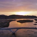 비내길 1구간 이미지