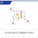 보은식품 이미지