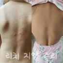 지엘화장품 이미지