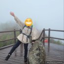 전북특별자치도 학생수련원 | [100대명산] 철쭉산행 절망편 - 지리산 바래봉 등산 후기 (전북학생교육원 ~ 운봉허브밸리 코스)