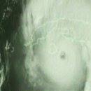 구스타브 이미지