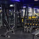 피트니스 다짐 이미지