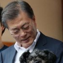 토리 이미지
