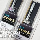 가성비램 중 원픽 DDR5 16G 메모리 추천 사용후기 [TeamGroup DDR5-5600 CL46 Elite 서린 (16GB)]