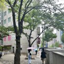 숲칼프광안점&NS브로우