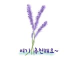 더카페 브레드유 이미지