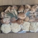 송간농장 이미지