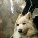 KNOCK-KNOCK 이미지