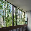 인성태권도장 이미지