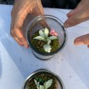 신장쇼핑몰거리 이미지