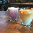 렉스호스텔 이미지