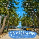 법무사한충호사무소 | 동해안해변캠핑장 추천 1순위 강릉 연곡솔향기 | A구역 B구역 사이트별 솔직 비교