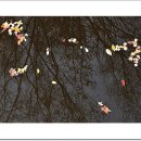 one`s eyes 이미지