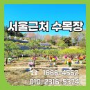 창대리 쉼터 | 서울근처수목장 장점과 비교할 사항은 어떻게