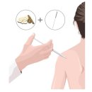 평동한의원 이미지