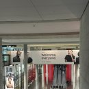 [스위스 취리히]스위스 1일차; 취리히국제공항-더 플라자 취리히 호텔-린덴호프-오데온 카페 (소소한 팁...