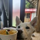 라울도비민박