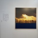 주식회사 길푸드시스템 | 삿포로 여행:) 비에이 후라노 버스 투어 | 흰그림자투어 준페이 확정 준비물 내돈내산 후기