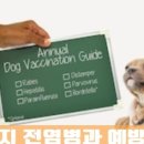 수목원동물병원 이미지