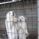 아리원 - 달서구 학산로42길 51 | 아리원