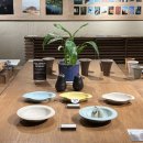 하우스시어 | 묵호 카페 추천 도야하우스 블렌딩 티 쇼룸 후기