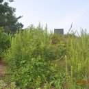 한반도면사무소 이미지