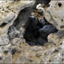 제주돌마을공원 이미지