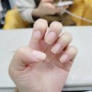 네일바미 이미지