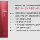 토니모리퍼스트
