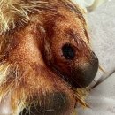 덕소동물병원 이미지