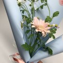 오유플랜트
