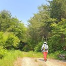 창인정비 이미지