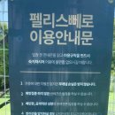 펠리스빼로 이미지